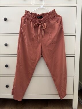 Zara Dusty Rose Paperbag Waist Tie Pants